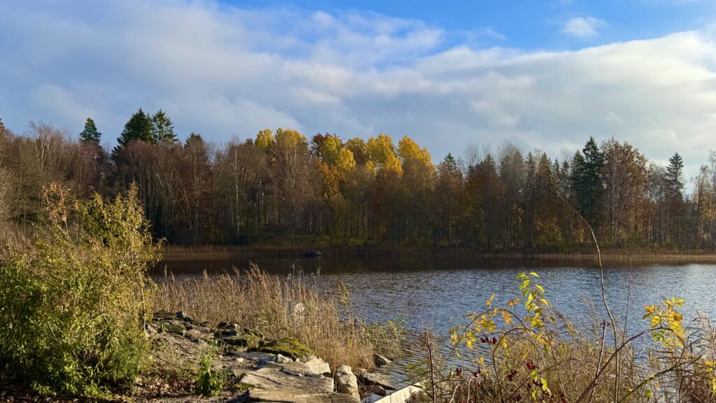 Autumn colours at Rågebodasjön